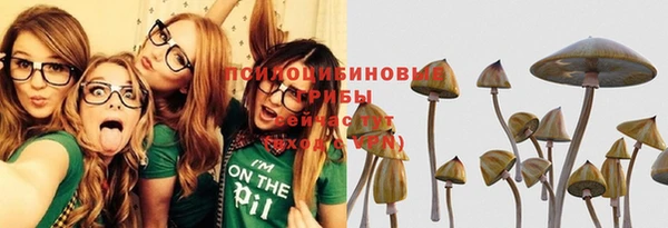 герыч Осташков